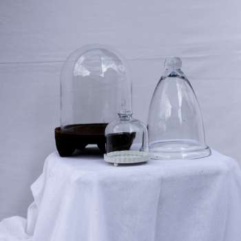 Glass Domes: Medium